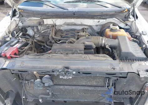 2011 Ford F-150 Xlt z USA, uszkodzony, nr VIN 1FTFX1CF8BKD16426